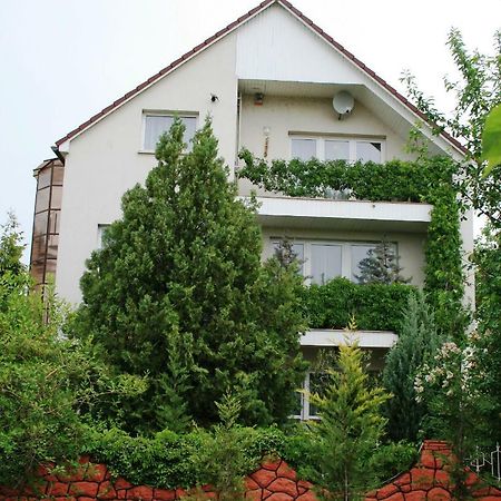 Apartman-Donau Tát Exteriér fotografie