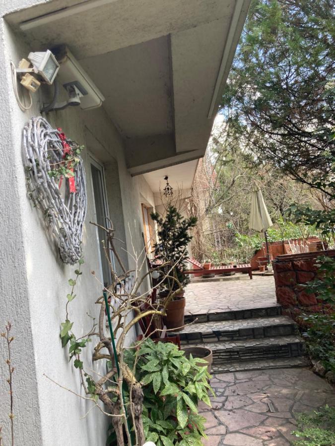 Apartman-Donau Tát Exteriér fotografie